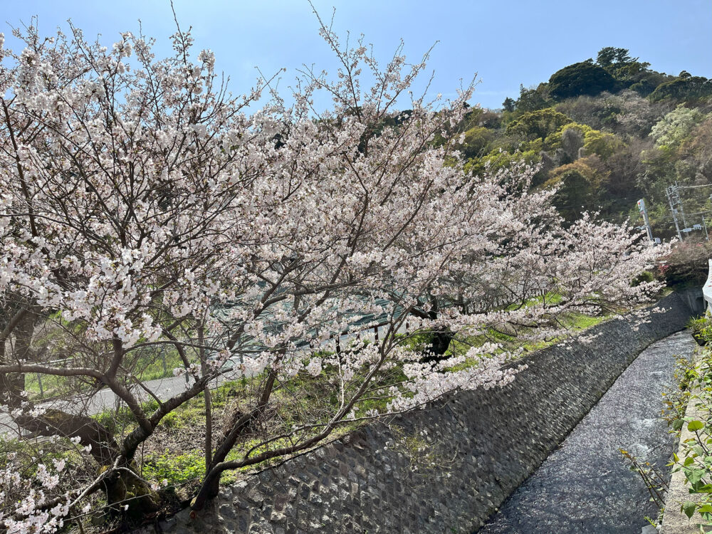 熱海市梅園町 売土地